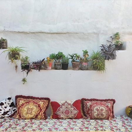 Hostel Zicatela Taghazout Esterno foto